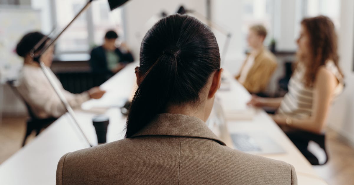 凡人修仙传挂机版：桐乡猫咪购买平台